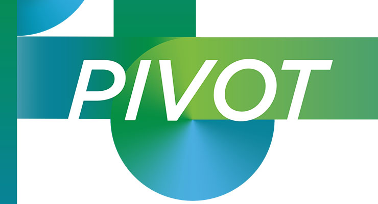 Annual Report cover with the word 'Pivot.'