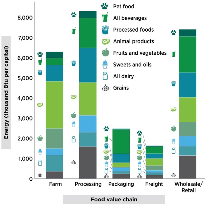 Chart of products in each part of the food value chain and the amount of energy they take to produce.
